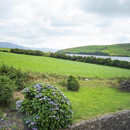 Half Door House Hotell Dingle Eksteriør bilde