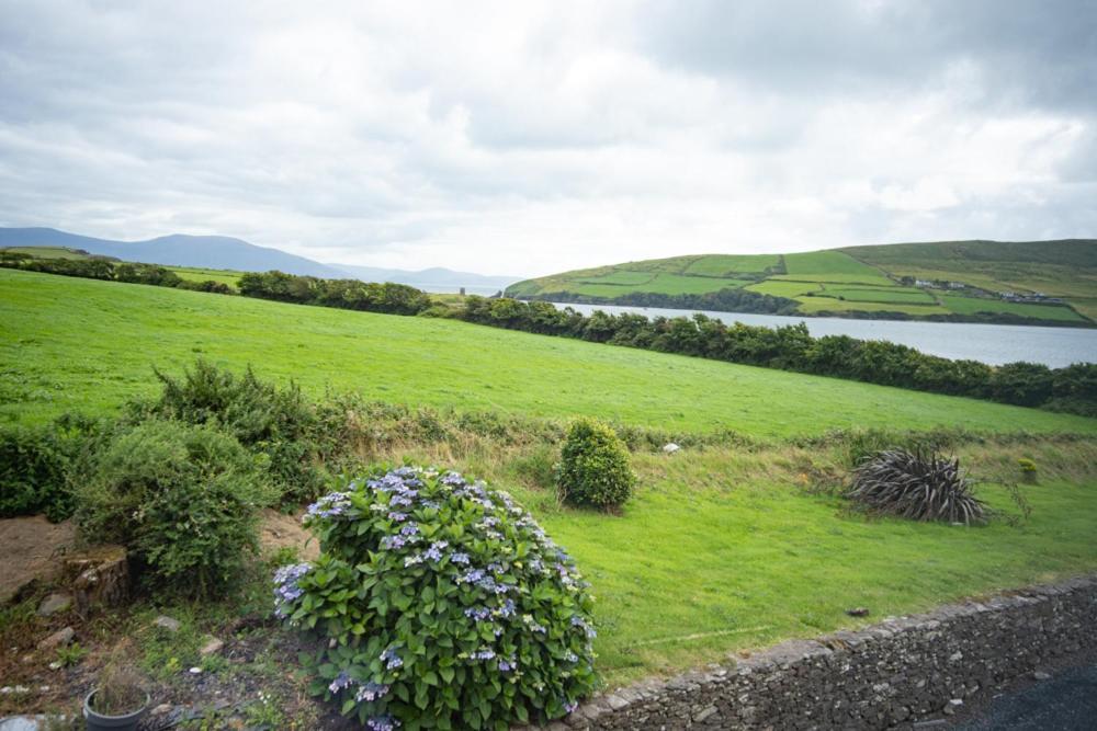Half Door House Hotell Dingle Eksteriør bilde