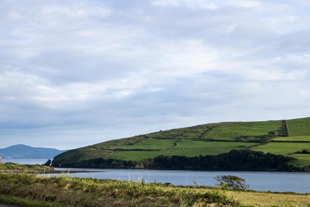Half Door House Hotell Dingle Eksteriør bilde
