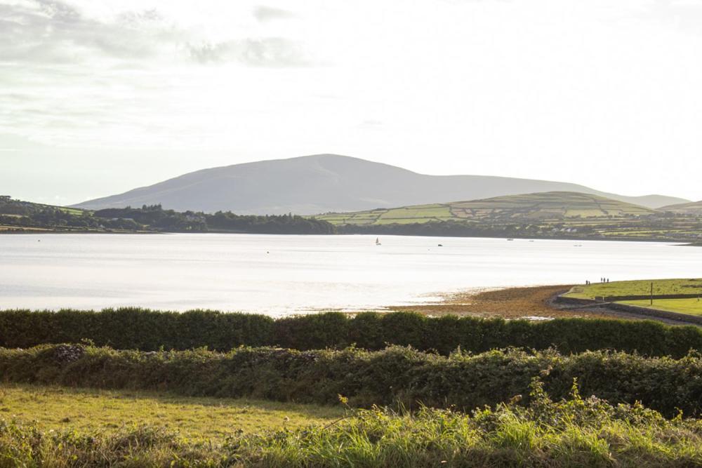 Half Door House Hotell Dingle Eksteriør bilde